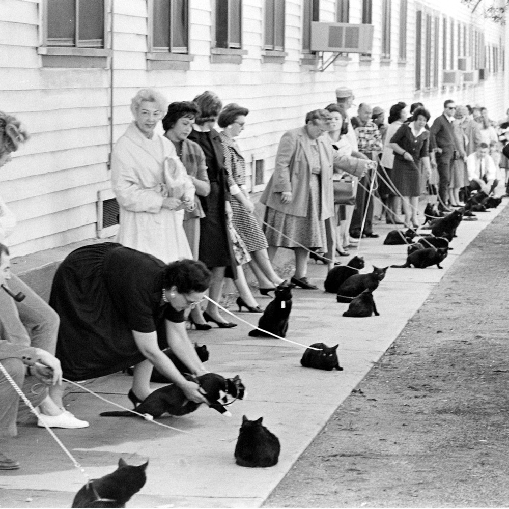 Little Ghost Enamel Pin - Ghost Busters  / black cat - Picture 2 of 3